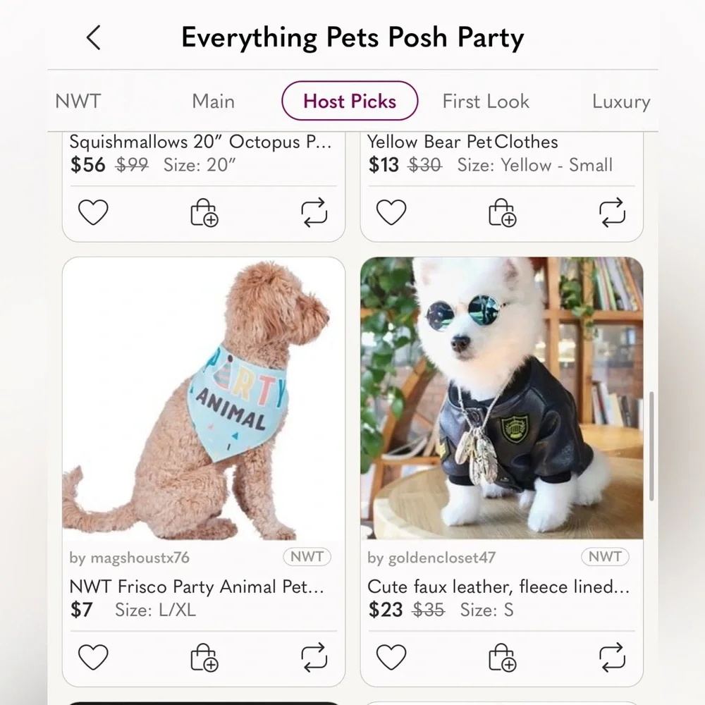 🎉 HP 🎉 NWT Frisco Party Animal Pet Bandana